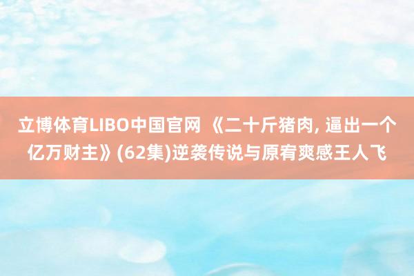 立博体育LIBO中国官网 《二十斤猪肉， 逼出一个亿万财主》(62集)逆袭传说与原宥爽感王人飞