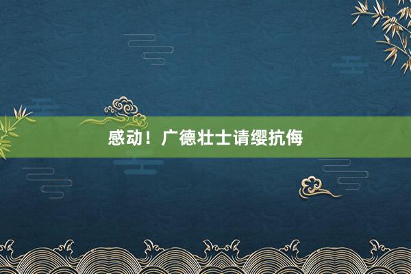 感动！广德壮士请缨抗侮