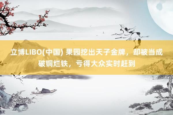 立博LIBO(中国) 果园挖出天子金牌，却被当成破铜烂铁，亏得大众实时赶到