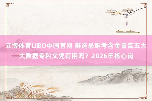 立博体育LIBO中国官网 推选最难考含金量高五大大数据专科文凭有用吗？2026年核心岗