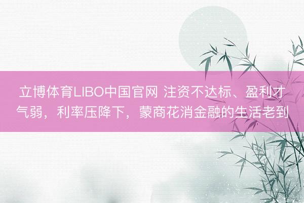 立博体育LIBO中国官网 注资不达标、盈利才气弱，利率压降下，蒙商花消金融的生活老到