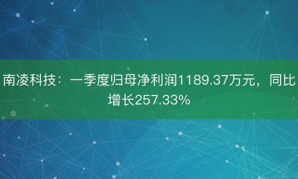 南凌科技：一季度归母净利润1189.37万元，同比增长257.33%